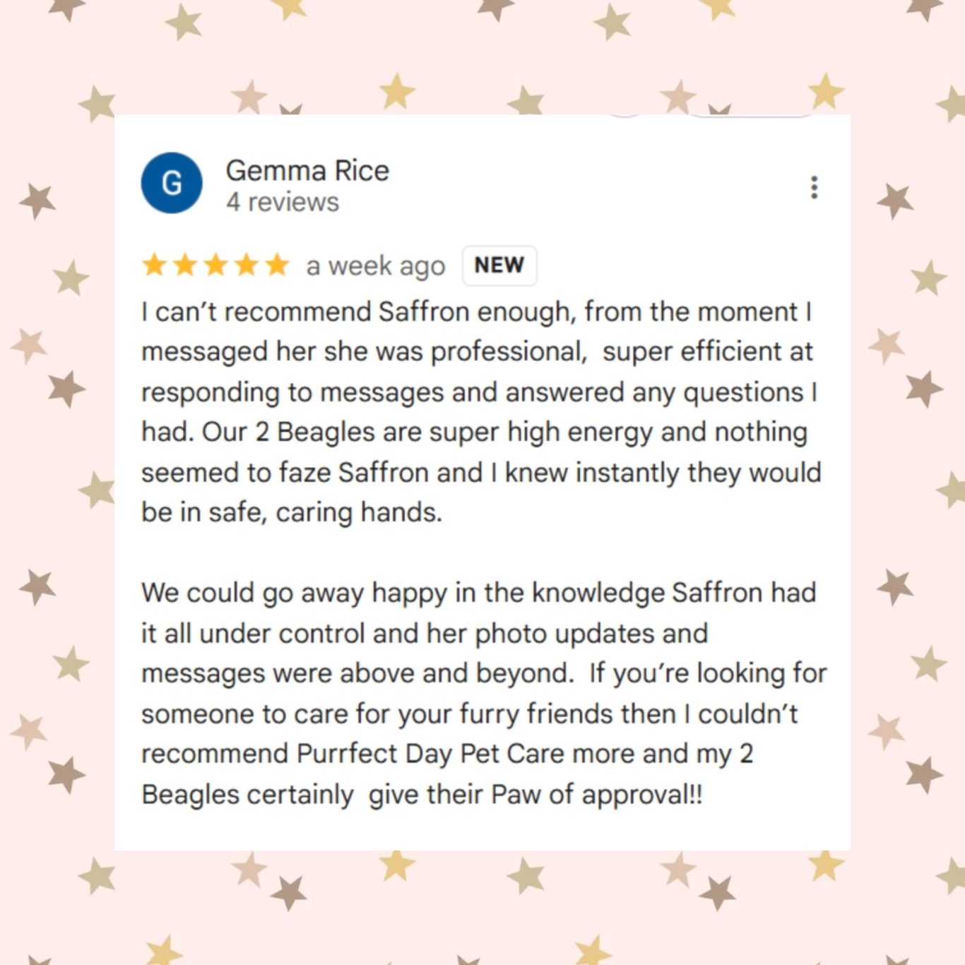 5 Star Review Positive review of Saffron's professional pet care services for Beagles.